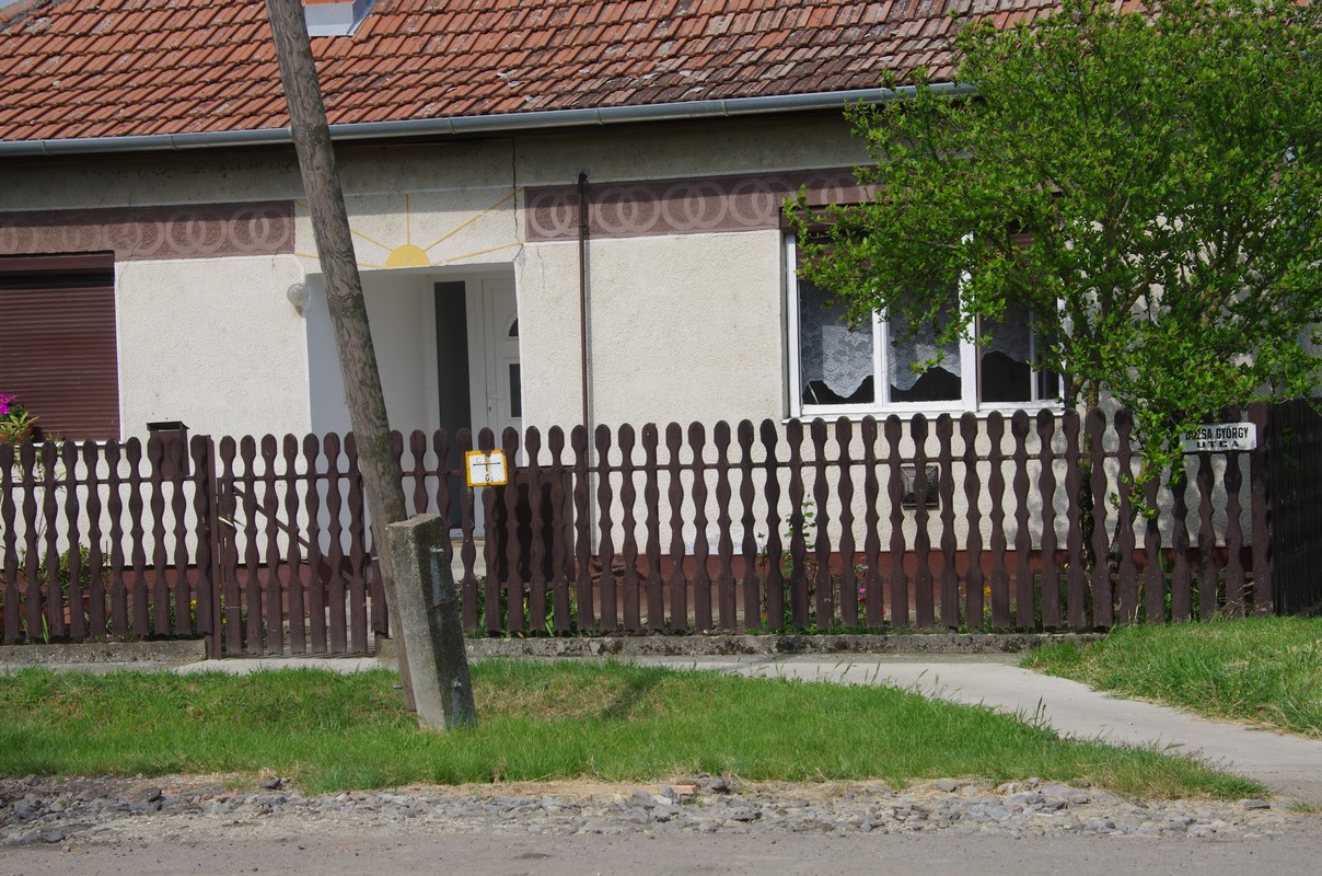 IMGP5378