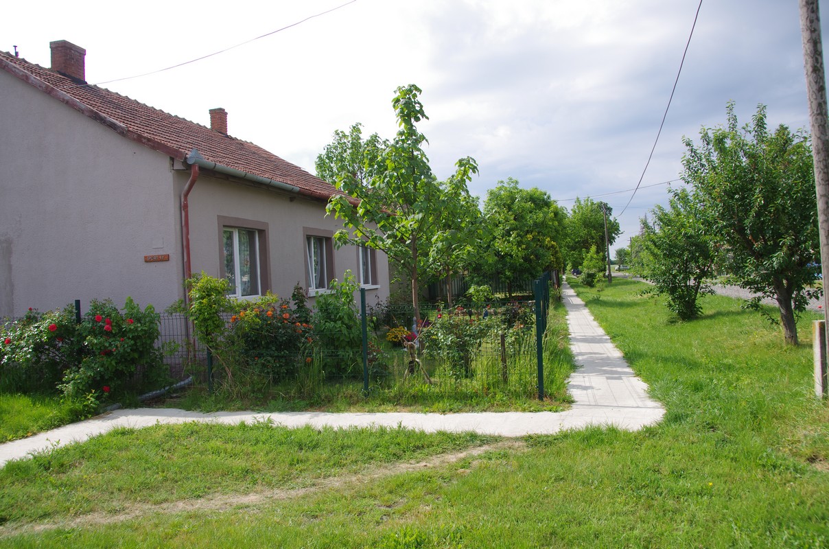 IMGP5393