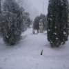 Phoca Thumb M P2080005